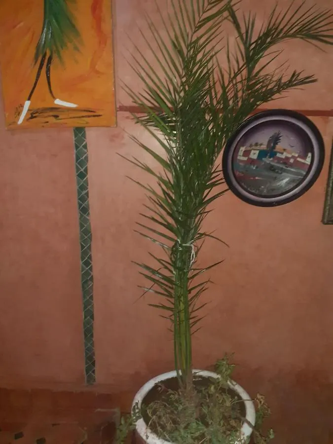 Homestay Riad Hanafi Marrakesh
